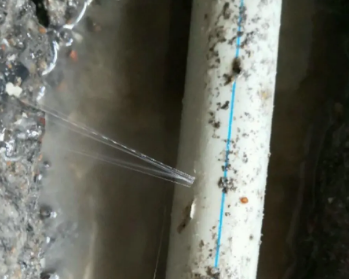 惠来卫生间测漏水多少钱